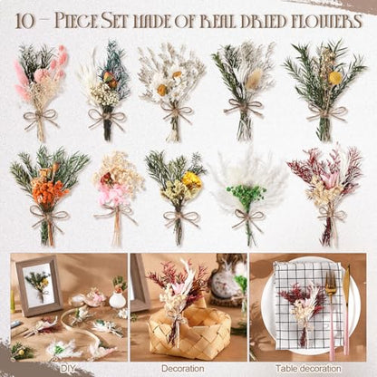 Nuanchu 10 Pcs Mini Dried Flower Bouquet Mixed Natural Dried Flowers with Stem Boho Plant Stem Bunch for DIY Craft Card Home Party Photo Props Wedding Decor, 5 to 6 inches(Classic Styles) - style: Classic Styles