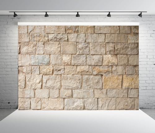 12x8ft Fabric Brick Stone Wall Backdrop - Old Outdoor Rock Stone Textures Background for Medieval Castle Party Decorations, Baby Shower, Kids, Adults Portarit Photo Props - size: 12x8FT