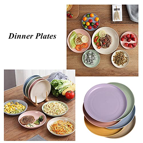CAMBUY Wheat Straw Plates Lightweight Unbreakable Dinner Dishes Plates Set Dishwasher & Microwave Safe (Small 6 Pack 5.9') - color: Small Multicolour
