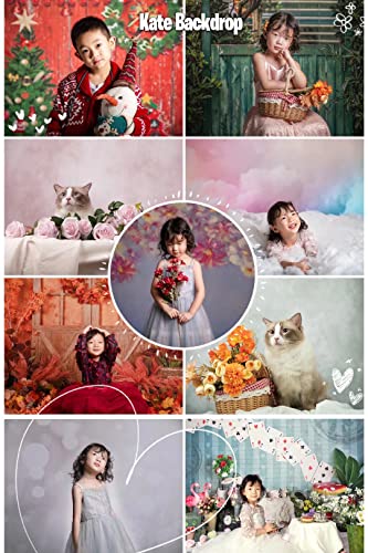 Kate 10x8ft White Wood Shiplap Photography Backdrop Vintage White Wood Photo Background Photo Studio Props - size: 10x8ft