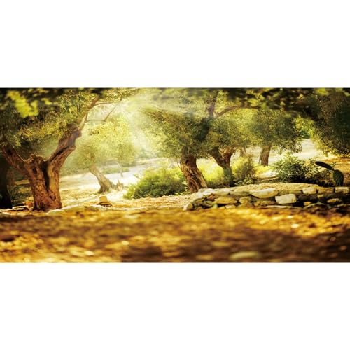 Leyiyi 20x10ft Natural Scenery Backdrop Olive Trees Sunshine Wonderland Dreamy Haze Blurred Background Stone Natural Forest Landscape Video Photo Studio Prop - size: 20x10ft-Vinyl