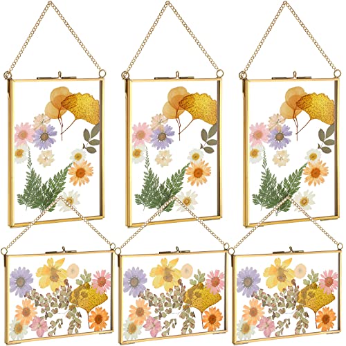 Treela 6 Pieces Pressed Flower Frames Brass Double Glass 5 x 7 Inch Wedding Gold Floating Hanging Photo Clear Horizontal and Vertical Frames with Chain for Gallery Pictures Vintage Artwork Display - color: Gold, Transparent, size: 5 x 7 Inch