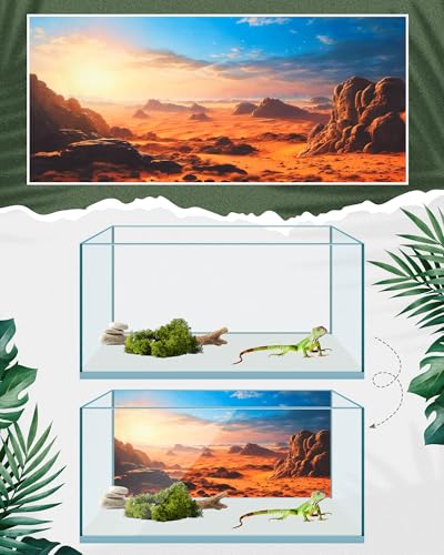 Breling 4 Pcs 48 x 24 Inch Reptile Habitat Background with Nano Glue Gobi Sun Cactus Stone and Green Tree Fern Stream Terrarium Background Polyester Durable Aquarium Accessories - color: Style1, size: 24 x 48 Inch