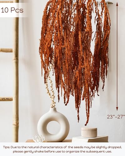 10Pcs Brown Preserved Hanging Amaranthus Flowers - 23" Cascading Dried Flower Tassels for Boho Wedding Arch, Vase Arrangements, Backdrop Installations & Home Decor