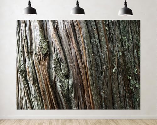 Trykid 10x6.5ft Tree Bark Mossy Texture Backdrop Organic Wood Grain Rustic Surface Photography Background Cabin Display Tapestry Party Decoration Photo Studio Prop Fabric - size: 10x6.5ft