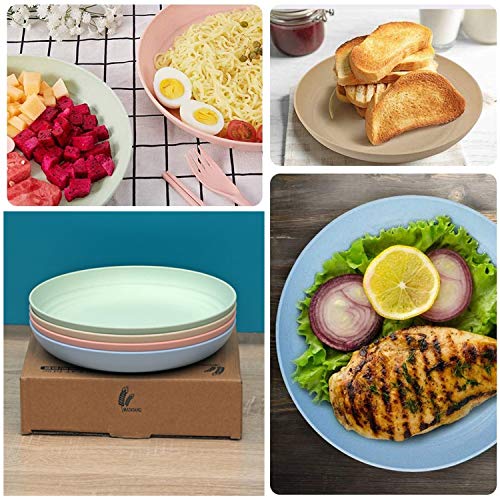 CAMBUY Wheat Straw Plates Lightweight Unbreakable Dinner Dishes Plates Set Dishwasher & Microwave Safe (Extra Large 4 Pack 10') - color: Extra Large Multicolour