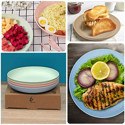 CAMBUY Wheat Straw Plates Lightweight Unbreakable Dinner Dishes Plates Set Dishwasher & Microwave Safe (Extra Large 4 Pack 10') - color: Extra Large Multicolour