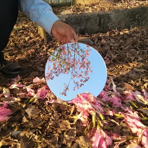 LTSRLL PMMA Mirror Tiles Photography Props Background Reflective Display Sheet Home Decor Vanity Mirror(Bean) - color: Bean
