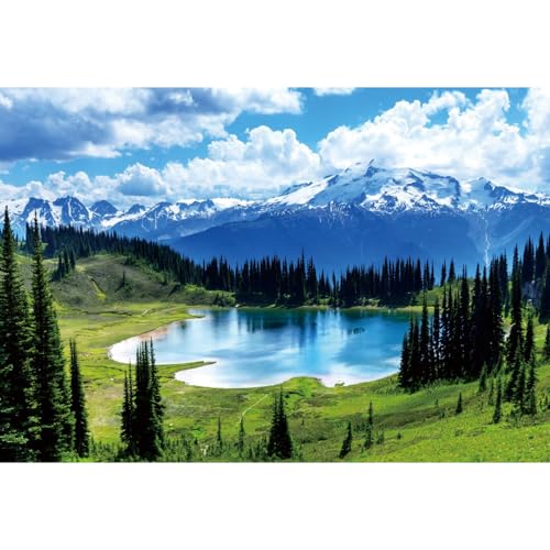 YongFoto Outdoor Nature Scenery Backdrop 5x3ft Lake Mountains Forest Pine Blue Sky Spring Photography Background Party Banner Room Decor Travel Portraits Photoshoot Wallpaper Photo Studio Props - color: Style 5, size: 5ftx3ft