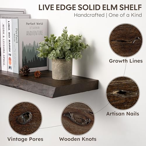 Floating Shelves Set of 2, Solid Elm Wood Wall Shelves 24 Inch - Invisible Bracket Mount for Living Room, Bedroom, Kitchen, Bathroom - Brown - color: Dark Brown, size: 24"L, 2-Pack