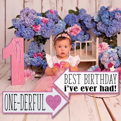 1st Birthday Girl Photo Booth Props - 41-pc Photobooth Kit with 8 x 10-Inch Sign, 60 Adhesive Pads, 45 Sticks - First Birthday Photo Kit