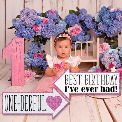 1st Birthday Girl Photo Booth Props - 41-pc Photobooth Kit with 8 x 10-Inch Sign, 60 Adhesive Pads, 45 Sticks - First Birthday Photo Kit