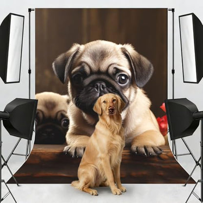 Puppys Pug Backdrop Background for Photography 5x7ft Photobooth Professional Photo Backdrop Curtains Video Photography Studio Photo Backgrounds Banner Booth Background Screen Parties - color: Puppys Pug