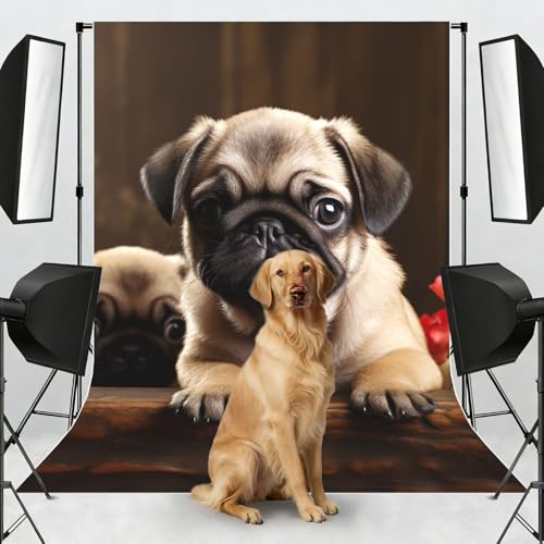 Puppys Pug Backdrop Background for Photography 5x7ft Photobooth Professional Photo Backdrop Curtains Video Photography Studio Photo Backgrounds Banner Booth Background Screen Parties - color: Puppys Pug