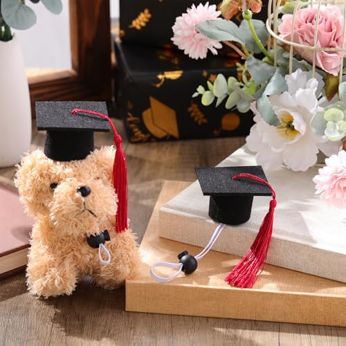 Eccliy 2 Pcs Pet Graduation Caps Mini Bachelor Hats with Tassel for Small Animal Guinea Pigs Hedgehog Bird Turtles Hamster Photo Props Graduation Holiday Festival Party Accessory(Red) - color: Red