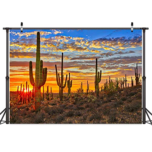 Desert Scenery Backdrop Cactus Photography Backdrops Desert Sunset Photo Backdrop Tourist Scenery Photo Backdrop Curtains (8X6FT) - size: 8X6FT