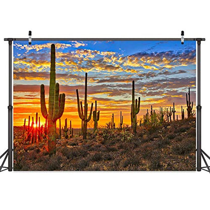 Desert Scenery Backdrop Cactus Photography Backdrops Desert Sunset Photo Backdrop Tourist Scenery Photo Backdrop Curtains (8X6FT) - size: 8X6FT