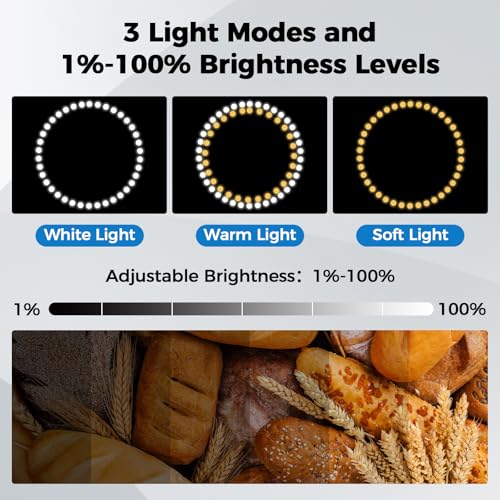 Photo Light Box, 16"x12"x12" Foldable Photography Light Box with CRI>95 120 Light Beads. Dimmable Shooting Tent Kit with White and Warm Light. 6 Color Backdrops Photo Booth for Studio Products Display - size: 16" x 12" x 12"