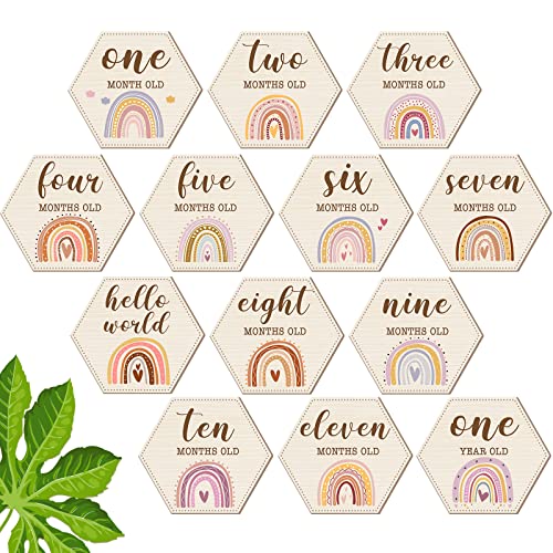 Amyhill 13 Pcs Wooden Baby Monthly Milestone Cards Signs Double Sided Milestone Discs Baby Shower Boho Photo Props Gifts Birth Announcement Signs Pregnancy Journey Growth Marker(Rainbow)