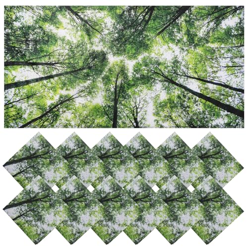 Torixqi12 Pcs Fluorescent Light Covers for Ceiling Lights Classroom, Magnetic Light Filters, Fluorescent Light Diffuser Covers for Office, Hospitals, Home 4 x 2 Feet (forest) - color: forest