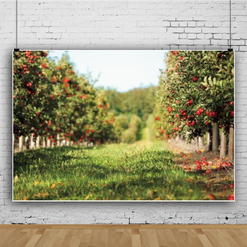 Yeele 6x4ft Apple Orchard Backdrop for Photography Fallen Red Apple Farm Natural Autumn Harvest Scene Background for Fall Harvest Party Decor Photo Studio Shoot Props Vinyl - size: 6x4ft