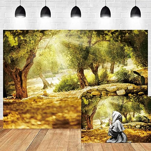 Leyiyi 10x6.5ft Natural Scenery Backdrop Olive Trees Sunshine Wonderland Dreamy Haze Blurred Background Stone Natural Forest Landscape Video Photo Studio Prop - size: 10x6.5ft-vinyl
