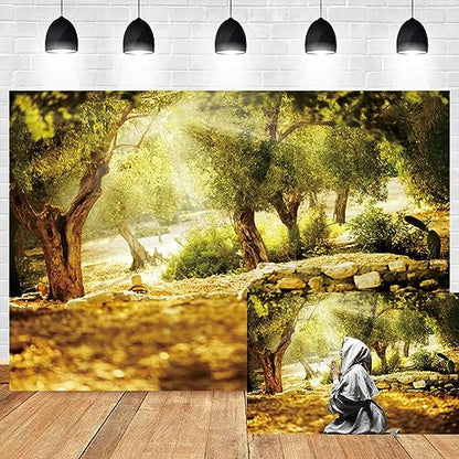 Leyiyi 15x10ft Natural Scenery Backdrop Olive Trees Sunshine Wonderland Dreamy Haze Blurred Background Stone Natural Forest Landscape Video Photo Studio Prop - size: 15x10ft-Vinyl