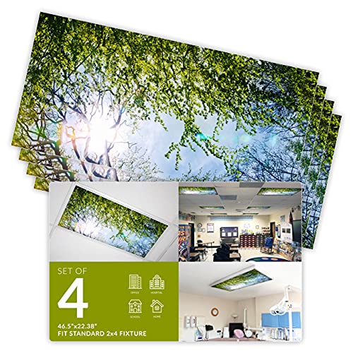 OCTO LIGHTS Fluorescent Light Covers for Classroom Office - Eliminate Harsh Glare Causing Eyestrain and Headaches. Office & Classroom Decorations - Tree 006-4pk - color: Evergreen Ash Tree, size: 4pk