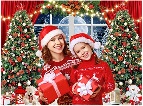 10x8ft Christmas Window Backdrop for Photography Winter Xmas Tree Snow Gift New Year Christmas Party Backdrops Xmas Night Family Party Background D806 - size: 10x8ft