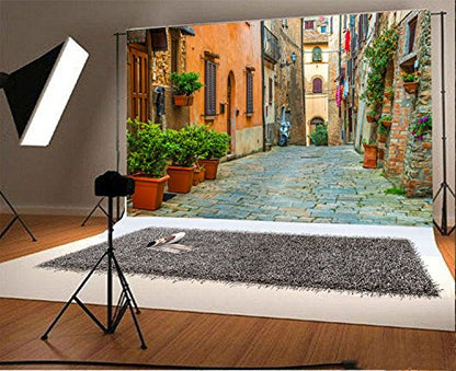 Laeacco 7x5FT Vinyl Backdrop Photography Background Italy Old Town Small Narrow Alley Street Landscape European Building Green Vine Children Adults Travel Theme Backdrop Photo Studio Props - size: 7x5ft