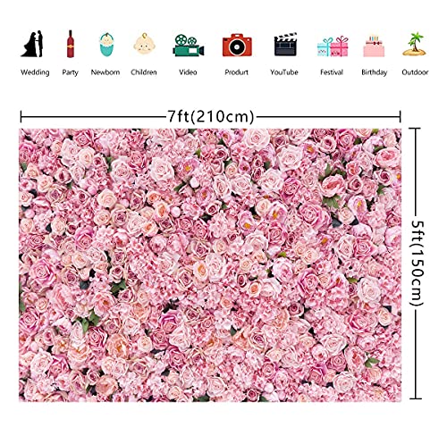 BINQOO 7x5ft Pink Rose Wall Background Pink Flowers Backdrops Spring Tea Party Backdrop Floral Girls Birthday Weeding Valentine's Day Mother's Day Event Banner Photo Props - size: 7 x 5 ft