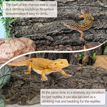 Hamiledyi Cork Terrarium Background 11.8x7.9in 6PCS Natural Reptile Cork Bark Flats Terrarium Board Bearded Dragon Climbing Wall Mat Tank Decor for Lizard Chamelon Snake Turtle Spider Crested Gecko - size: 6PCS-11.8x7.9in