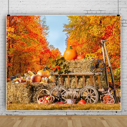 Fall Backdrops for Photography Vinyl Thanksgiving Autumn Backdrop Pumpkin Harvest Barn Background Baby Birthday Portrait Party Banner Decoration Photo Studio Props 10 * 6.5ft - color: Red, size: 10x6.5ft