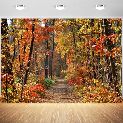 5x4ft Fall Backdrop Autumn Scenery Forest Mountain Road Photography Background Tree Yellow Fall Leaves Natural Landscape Portraits Decorations Wallpaper Photo Studio Props - color: Maple-red, size: 5x4ft