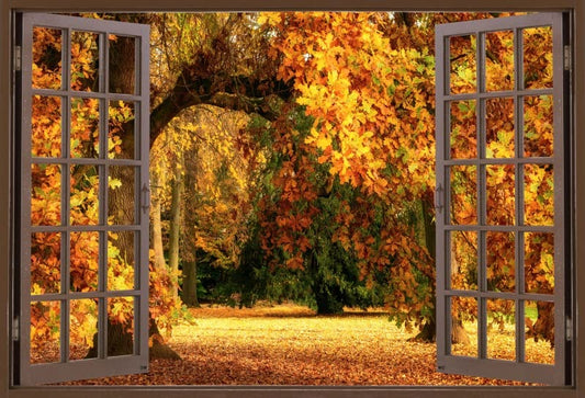 10x8ft Window Fall Forest Backdrop Fall Maples Leaves Wedding Autumn Foliage Party Decorations Autumn Park Fall Bridal Shower Photography Background Birthday Outdoor Travel Family Photo Props - color: Fall-2