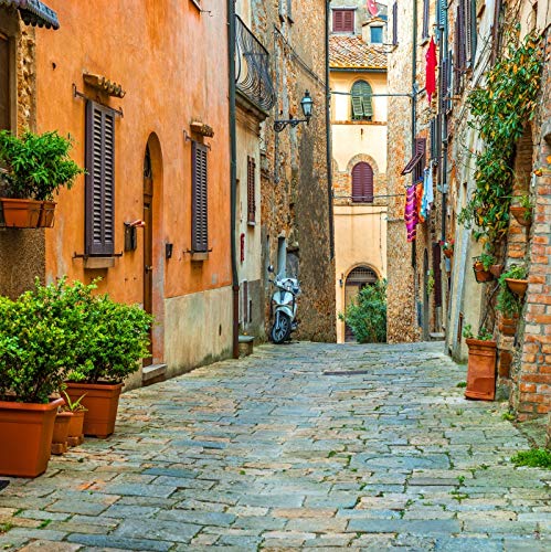 Laeacco 7x7FT Vinyl Backdrop Photography Background Italy Old Town Small Narrow Alley Street Landscape European Building Green Vine Children Adults Travel Theme Backdrop Photo Studio Props - size: 7x7ft