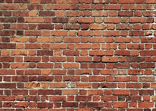 AIIKES 7x5FT Red Brick Wall Backdrop Brick Photography Backdrops Baby Birthday Party Graduation Home Decoration Background Photo Booth Studio Prop Banner 11-506 - size: 7x5ft