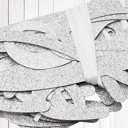 Go Shawty It's Your Birthday Banner, Hip Hop Birthday Party Decorations Supplies, Rap Theme Bday Bunting Sign, Pre-strung, Photo Props (Silver) - color: Silver