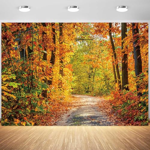 5x4ft Fall Backdrop Autumn Scenery Mountain Road Photography Background Tree Yellow Fall Leaves Natural Landscape Decorations Portraits Supplies Wallpaper Photo Studio Props - color: Orange, size: 5x4ft