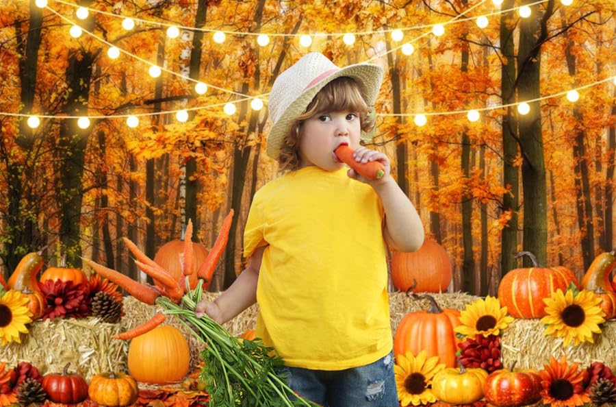 Thanksgiving Fall Backdrop for Photography 10x8ft Maple Forest Pumpkin Hay Photo Backdrop Autumn Thanksgiving Harvest Photoshoot Background Kids Baby Adult Fall Theme Party Birthday Banner - color: NSW09651