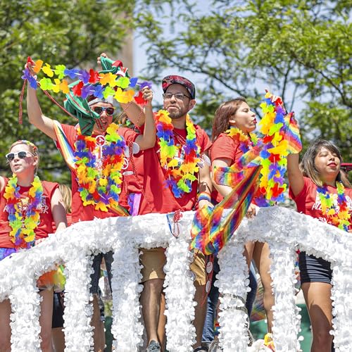 Arrowom Pride Accessories, 24pcs LGBTQ Floral Leis Decorations Bulk, Rainbow Pride Month Silk Flower Leis Stuff, LGBT Gay Lesbian Accessories for Pride Parade Tropical Hawaiian Luau Party Decorations - color: Pride Rainbow 24pcs