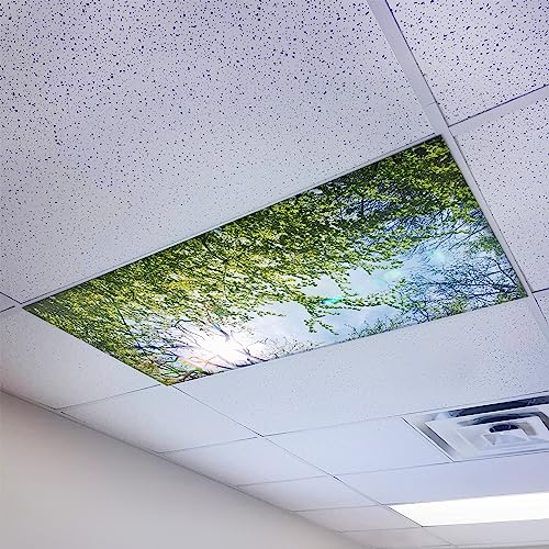Magnetic Fluorescent Light Cover for Ceiling Lights Classroom 2x4 - High Resolution Magnetic Office Light Filter (Pack of 1) - Improve Focus, Eliminate Headaches & Eyestrain - Tree - color: Evergreen Ash Tree