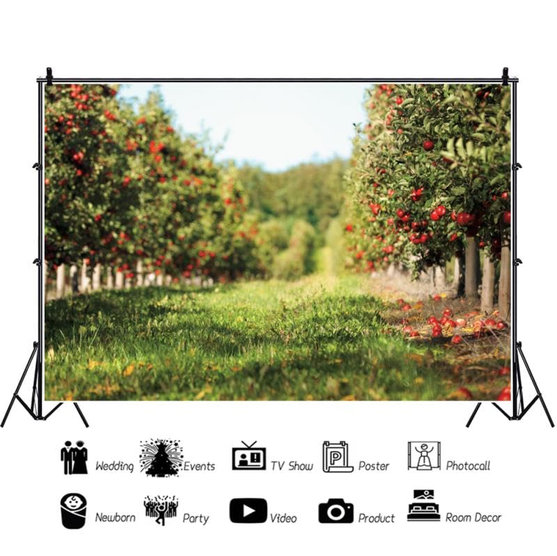 Yeele 5x4ft Apple Orchard Backdrop for Photography Fallen Red Apple Farm Natural Autumn Harvest Scene Background for Fall Harvest Party Decor Photo Studio Shoot Props Vinyl - size: 5x4ft