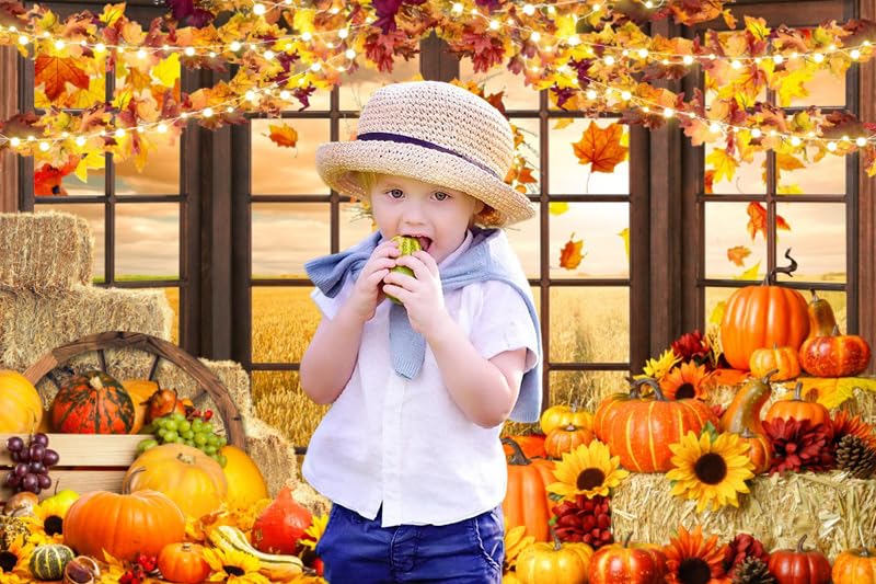 Fall Thanksgiving Backdrop for Photography Autumn Window Pumpkin Harvest Photo Backdrop 10x8ft Maple Leaves Haystack Wheat Field Harvest Background Birthday Party Event Studio Props Banner - color: NWH20204