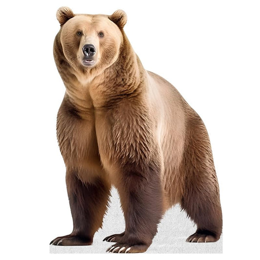 Bear - Life Size Cardboard Cutout Standup People with Support Standee | Animals -2 - color: Bear_2