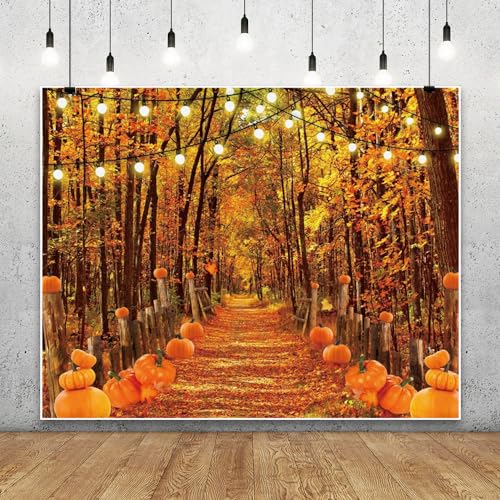 Fall Thanksgiving Backdrop for Photography 10x8ft Autumn Forest Pumpkin Path Maple Leaves Photo Backdrop Farm Harvest Thanksgiving Party Family Friendsgiving Decor Kids Adult Portrait Photo Props