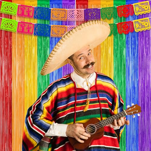 Cinco de Mayo Decorations Fiesta Party Decorations Foil Fringe Curtains Backdrop Fiesta Banner for Mexican Decor Wedding Engagement Rainbow Party Supplies