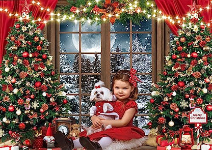 8x6ft Winter Christmas Photography Backdrop Xmas Rustic Wooden Window Full Moon Night Background Baby Kids Party Decorations Portrait Cake Table Banner Photo Studio Props 229 - size: 8x6ft