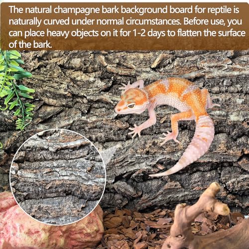 Hamiledyi Cork Terrarium Background 11.8x7.9in 8PCS Natural Reptile Cork Bark Flats Terrarium Board Bearded Dragon Climbing Wall Mat Tank Decor for Lizard Chamelon Snake Turtle Spider Crested Gecko - size: 8PCS-11.8x7.9in
