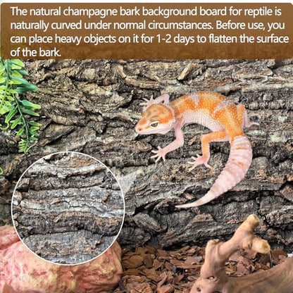 Hamiledyi Cork Terrarium Background 11.8x7.9in 8PCS Natural Reptile Cork Bark Flats Terrarium Board Bearded Dragon Climbing Wall Mat Tank Decor for Lizard Chamelon Snake Turtle Spider Crested Gecko - size: 8PCS-11.8x7.9in
